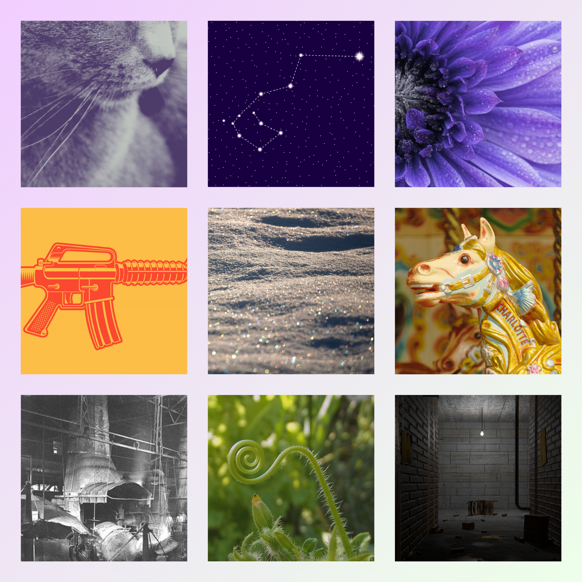 Moodboard mit 9 Kacheln. Sie zeigen die Schnauze einer Katze, das Sternbild Carina, eine violette Blüte, ein gezeichnetes Sturmgewehr, grau glitzernden Sand, ein Karusselpferd, eine Fabrikanlage, eine sich ausstreckende Ranke und einen Keller, der von einer einzigen Glühbirne beleuchtet wird.